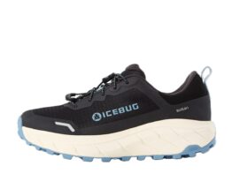 Icebug