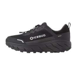 Icebug