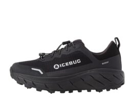 Icebug