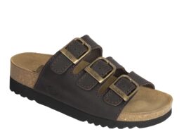 Scholl